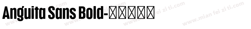 Anguita Sans Bold字体转换